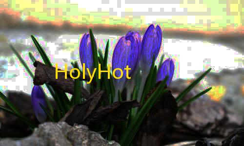三角洲黑号低价发卡网HolyHot